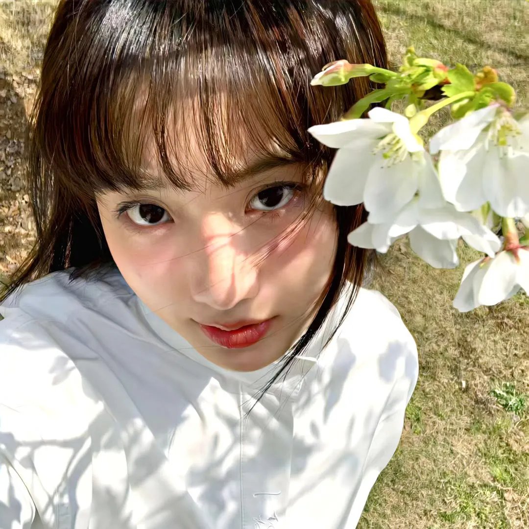 镜花水月情
